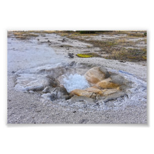 Muschel Frühling im Yellowstone Nationalpark, Wyom Fotodruck