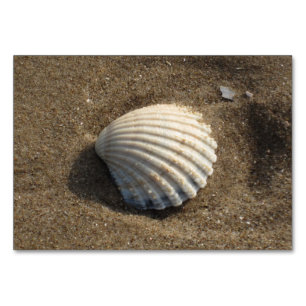 Muschel im Sand Tischnummer