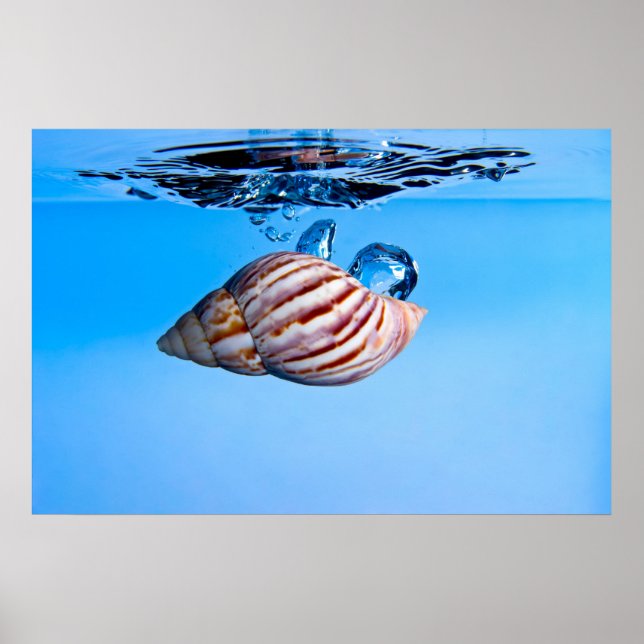 Muschel ins Wasser fallen Poster (Vorne)