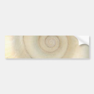 Muschel - Konchologie - weiße Spirale Autoaufkleber