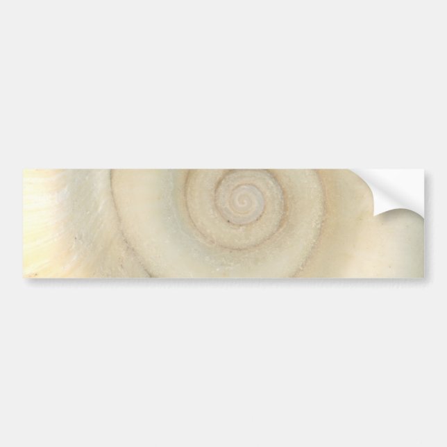 Muschel - Konchologie - weiße Spirale Autoaufkleber (Vorne)