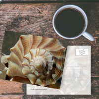 Muschel Lighting Whelk Fotografie Postkarte