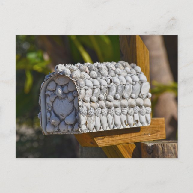 Muschel Mailbox, Fort Myers Beach, Florida Postkarte (Vorderseite)