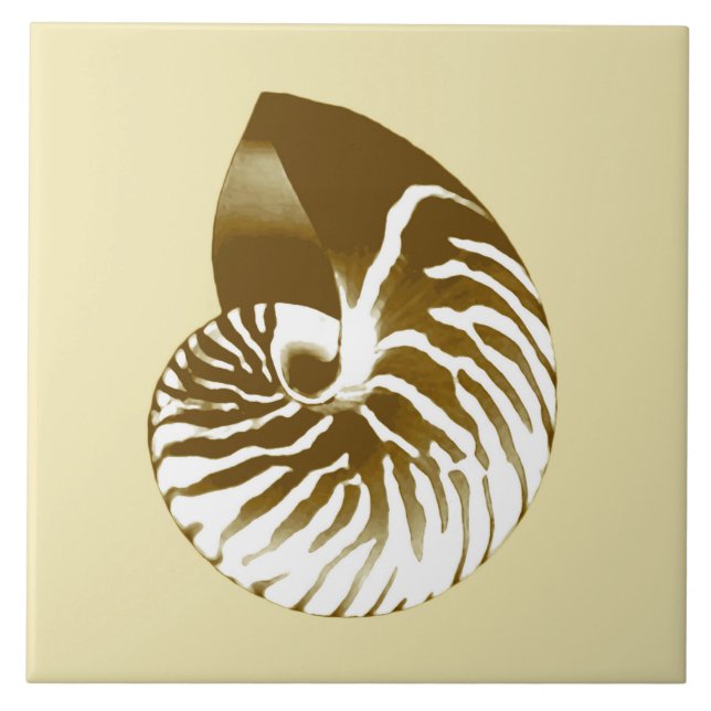 Muschel Nautilus - braun, weiß und beige Fliese (Vorderseite)
