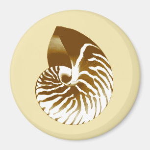 Muschel Nautilus - braun, weiß und beige Magnet