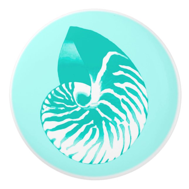 Muschel Nautilus - Türkis, Aqua und Weiß Keramikknauf (Vorderseite)