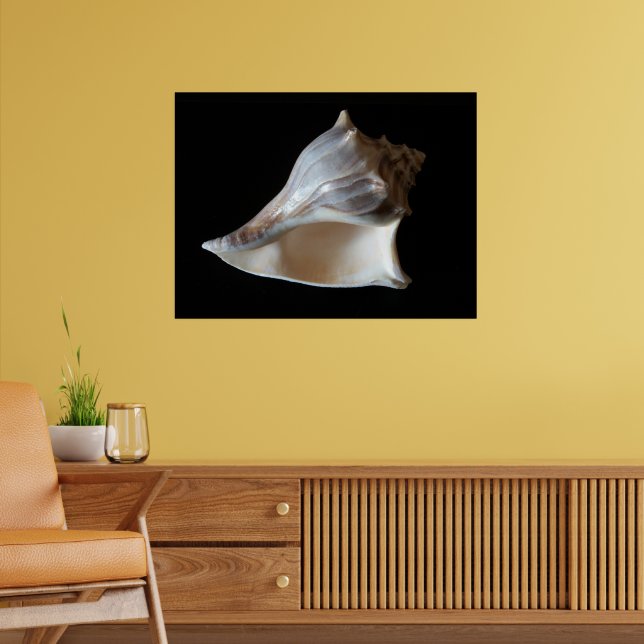 Muschel Poster (Wohnzimmer 2)