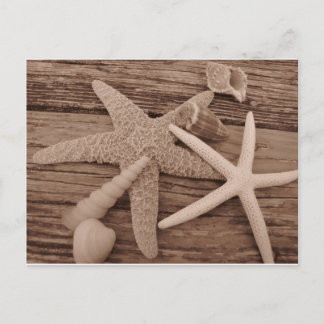 Muschel Postkarte