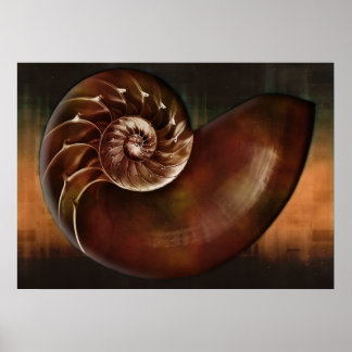 Muschel Print Poster