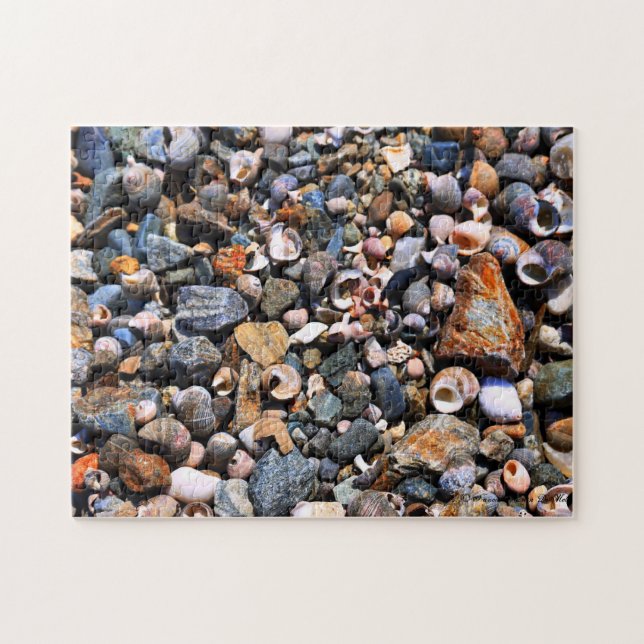 Muschel-Puzzlespiel (Horizontal)