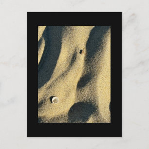 Muschel Sand und Schatten Postkarte