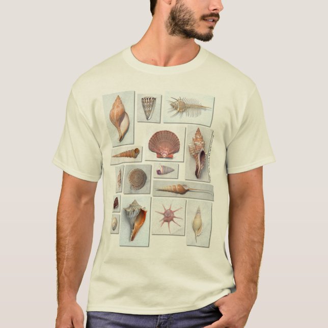 Muschel-Shirt T-Shirt (Vorderseite)
