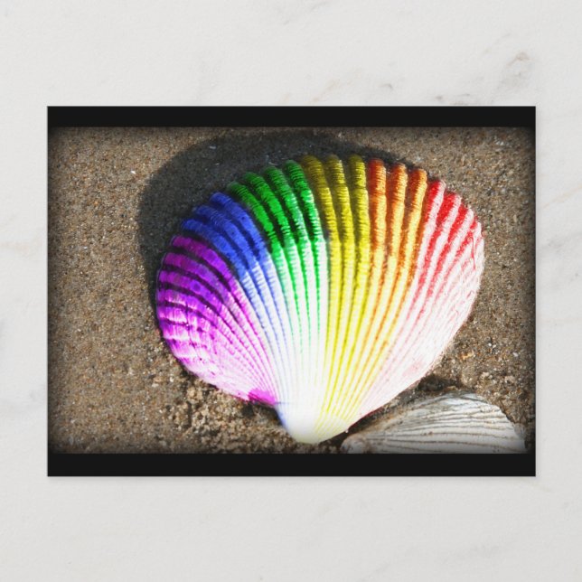 Muschel Stolz Postkarte (Vorderseite)