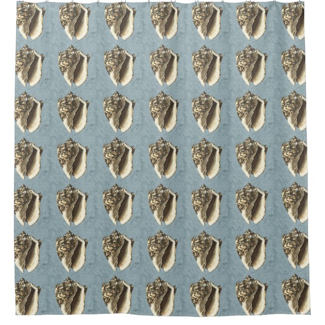 Muschel Stonewash Conch Duschvorhang (Vorderseite)