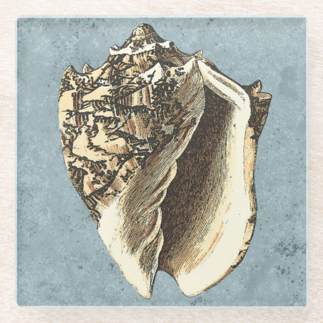 Muschel Stonewash Conch Glasuntersetzer (Vorderseite)