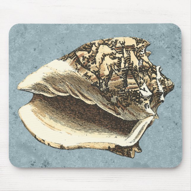 Muschel Stonewash Conch Mousepad (Vorne)