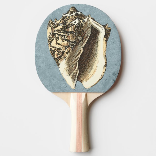Muschel Stonewash Conch Tischtennis Schläger (Vorderseite)