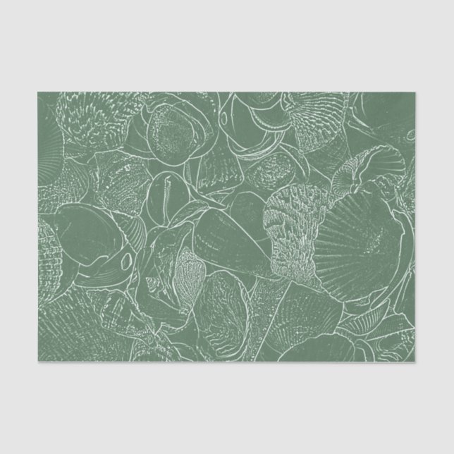 Muschel Strand Grün Weiß Decoupage Seidenpapier (Vorderseite)