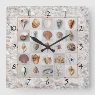 Muschel-Strand-Uhr Quadratische Wanduhr