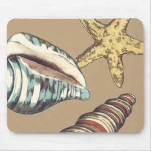 Muschel-Trio auf kakifarbigem Mousepad