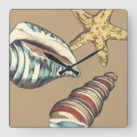 Muschel-Trio auf kakifarbigem