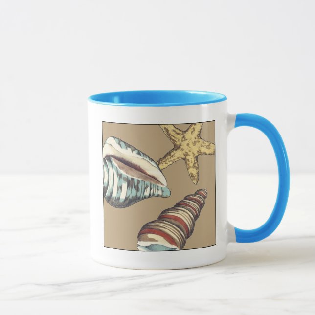 Muschel Trio über Khaki Tasse (Rechts)