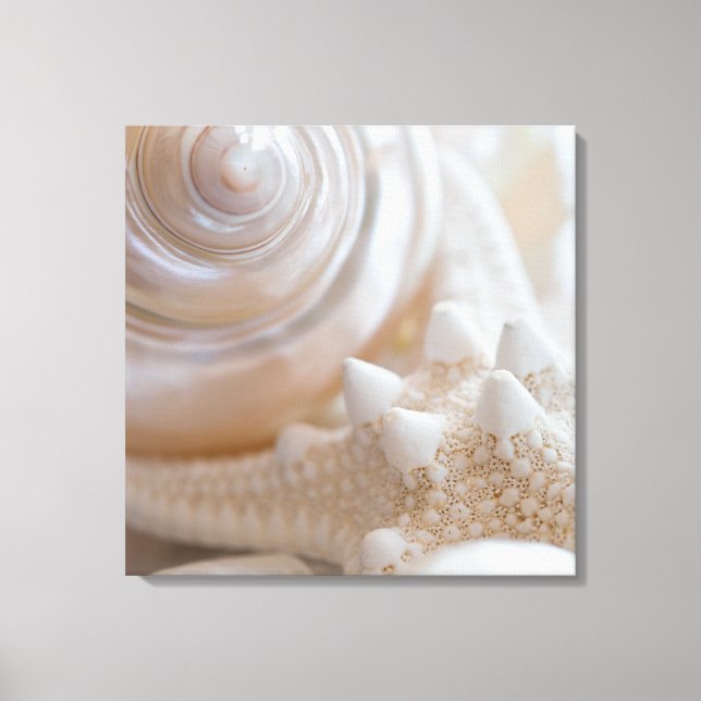 Muschel und Starfish Hintergrund - Muscheln am Str Leinwanddruck (Vorderseite)