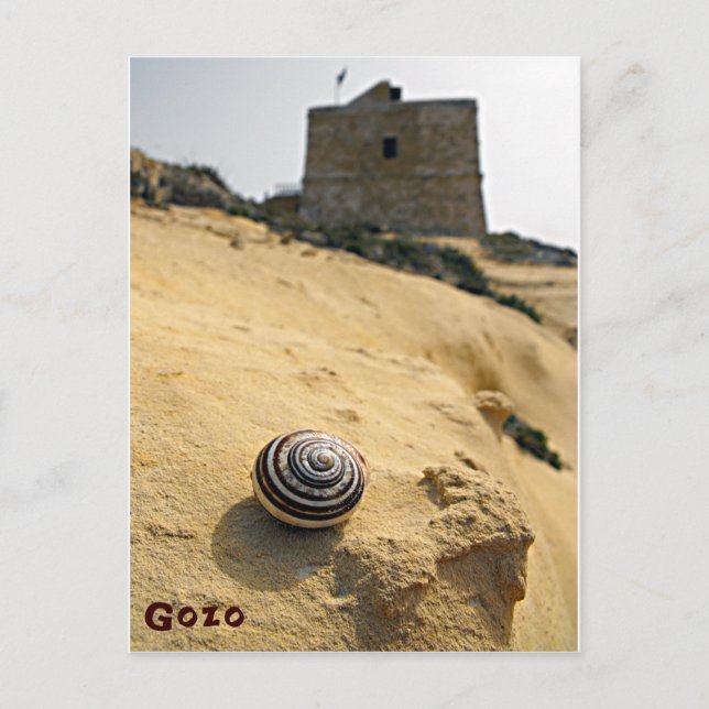 Muschel und Tower, Gozo, Malta Postkarte (Vorderseite)