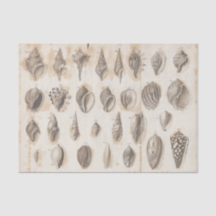 Muschel Vintage-Pergament-Decoupage Strand Ozean Seidenpapier