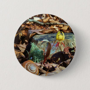 Muschel von Gelben und Pflaumen Button