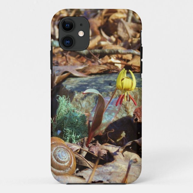 Muschel von Gelben und Pflaumen Case-Mate iPhone Hülle (Rückseite)