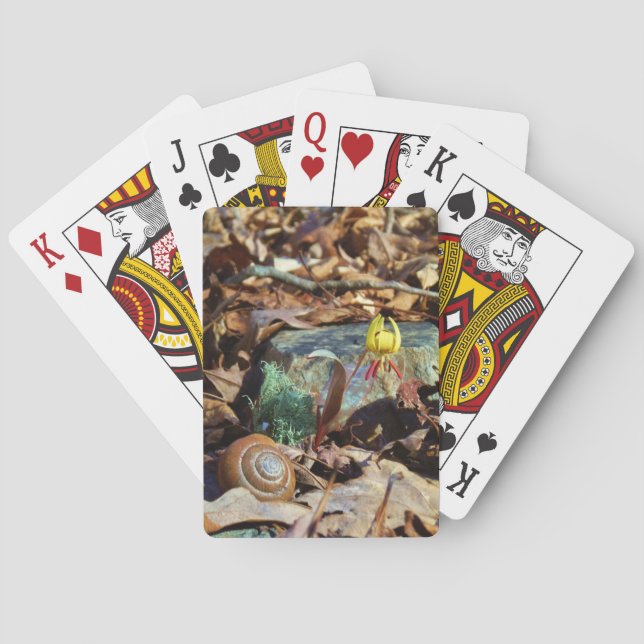 Muschel von Gelben und Pflaumen Spielkarten (Rückseite)
