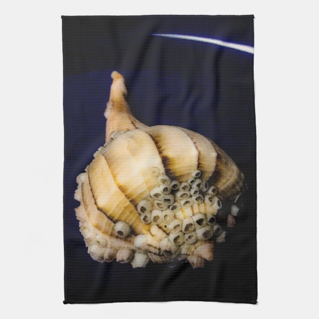 Muschel von Seeschnellfischen mit Barnacles Geschirrtuch (Vertikal)