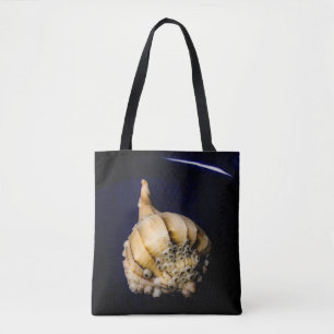 Muschel von Seeschnellfischen mit Barnacles Tasche