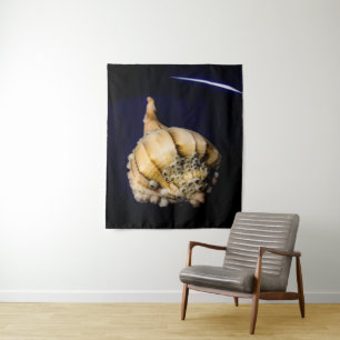Muschel von Seeschnellfischen mit Barnacles Wandteppich
