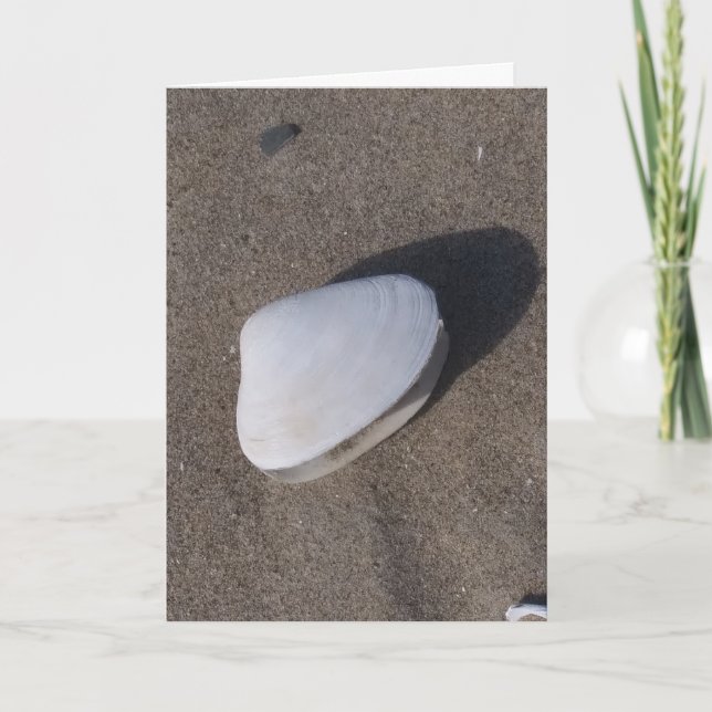 Muschel zur "Sand Condolence Card" Karte (Vorderseite)