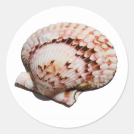 Muschelaufkleber Runder Aufkleber