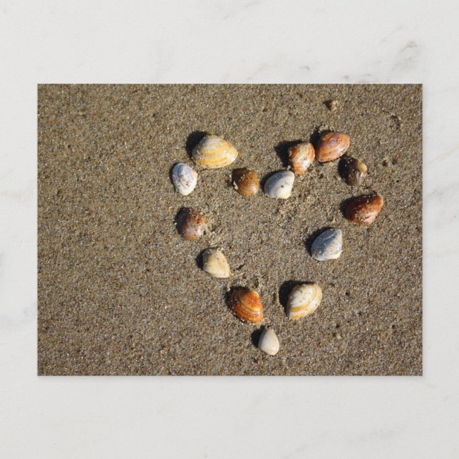 Muschelherz Postkarte (Vorderseite)
