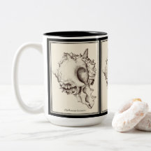 "Muschelliebhaber - schwarze u. weiße Tasse I"