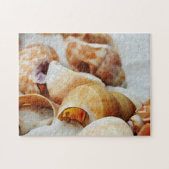 Muscheln (Horizontal)