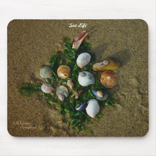 Muscheln Algenmousepad Mousepad (Vorne)