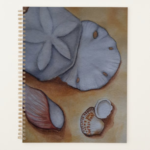 Muscheln am Meer Planer