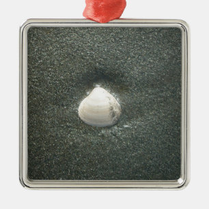 Muscheln am Meeresufer Hakuna Matata.JPG Ornament Aus Metall