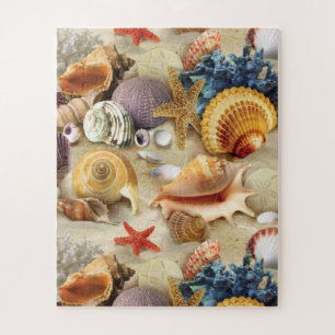 Muscheln am Strand