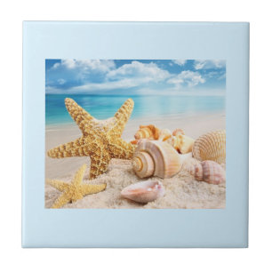 Muscheln am Strand Fliese