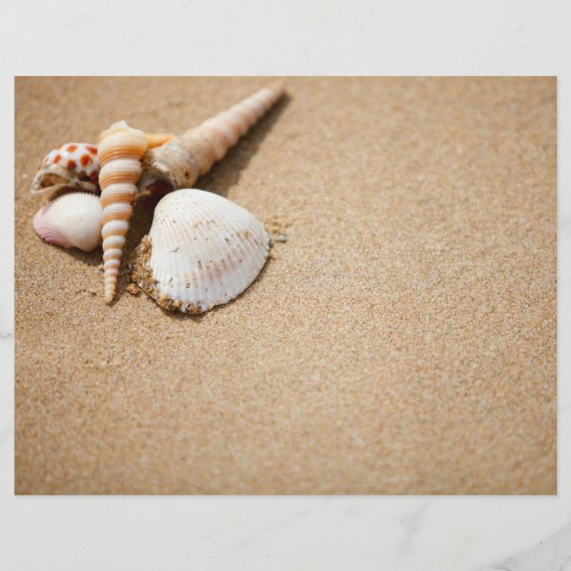 Muscheln am Strand Flyer (Vorne)