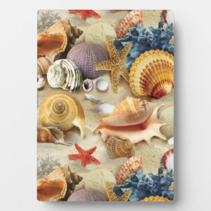 Muscheln am Strand Fotoplatte
