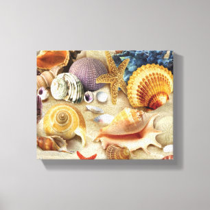 Muscheln am Strand Leinwanddruck
