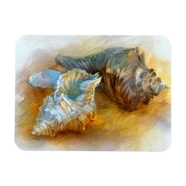 Muscheln am Strand Magnet (Horizontal)