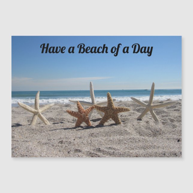 Muscheln am Strand - Magnetkarte (Vorderseite)